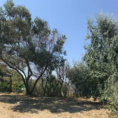 Nefeli