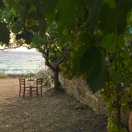 Nefeli Paralia (Evia)